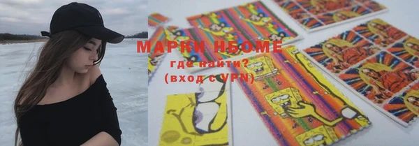 шишки Аркадак