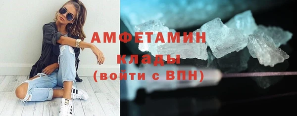 шишки Аркадак