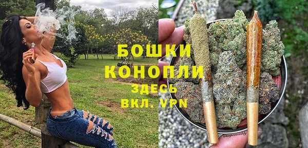 шишки Аркадак