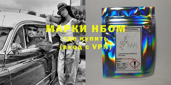шишки Аркадак