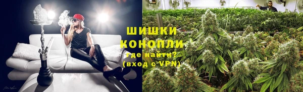 шишки Аркадак
