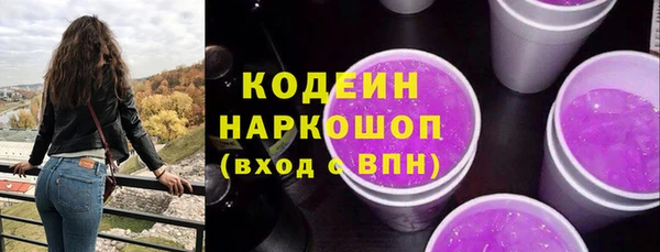 шишки Аркадак