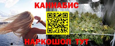 сатива Новодвинск