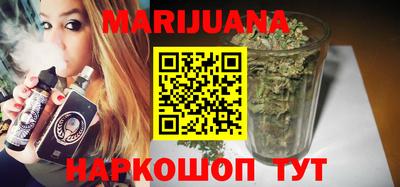 сатива Новодвинск