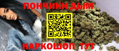 сатива Новодвинск