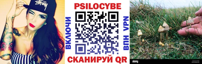 купить наркоту  Солнечногорск  Галлюциногенные грибы ЛСД 