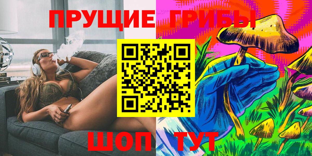ГАШ Солнечногорск