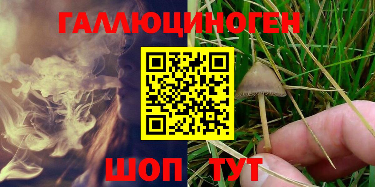 Псилоцибиновые грибы GOLDEN TEACHER Солнечногорск
